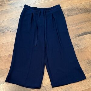 The Limited Deep Blue Cropped Pants